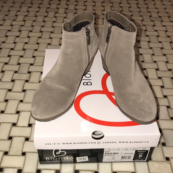 blondo valli mushroom